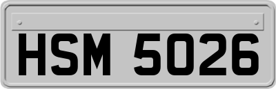 HSM5026
