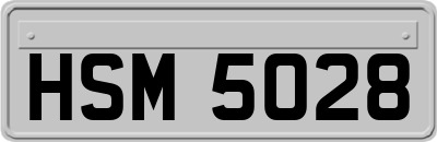HSM5028