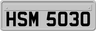 HSM5030