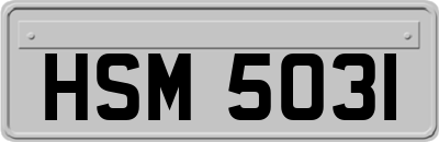 HSM5031