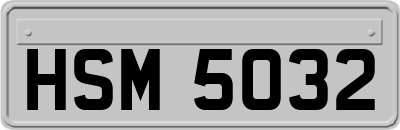 HSM5032