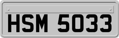 HSM5033