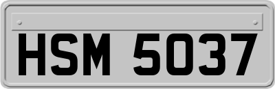 HSM5037