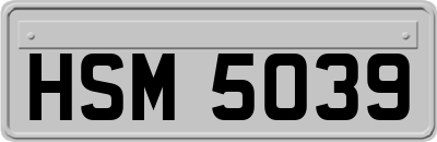 HSM5039