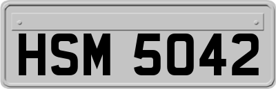 HSM5042
