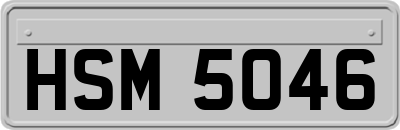 HSM5046