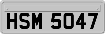 HSM5047