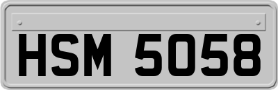 HSM5058