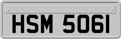 HSM5061