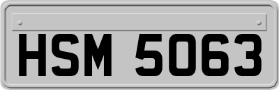 HSM5063