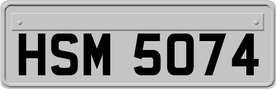HSM5074