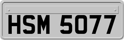 HSM5077