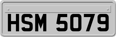 HSM5079