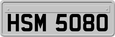 HSM5080