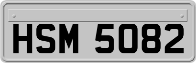 HSM5082