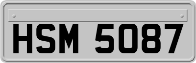 HSM5087