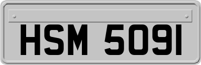 HSM5091
