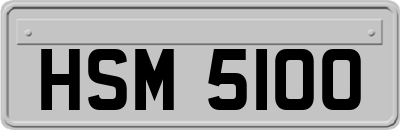 HSM5100