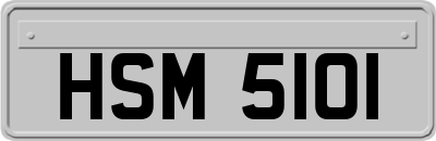 HSM5101