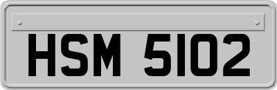 HSM5102