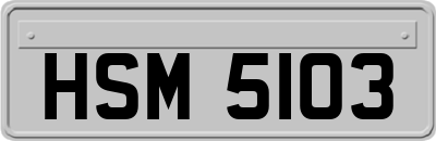 HSM5103