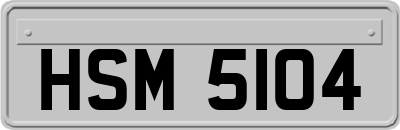 HSM5104