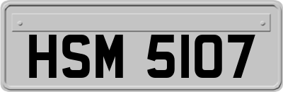 HSM5107