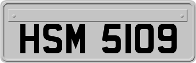 HSM5109