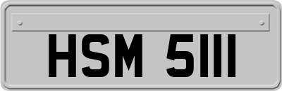 HSM5111