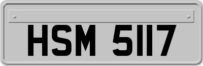 HSM5117