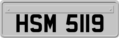 HSM5119