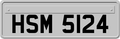 HSM5124