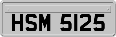 HSM5125