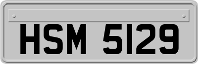 HSM5129