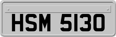HSM5130