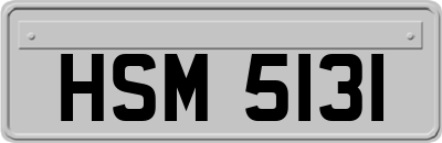 HSM5131