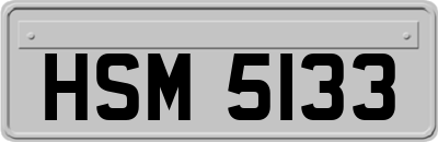 HSM5133