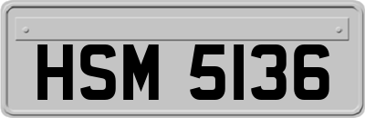 HSM5136