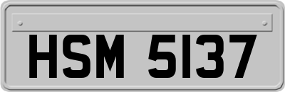 HSM5137