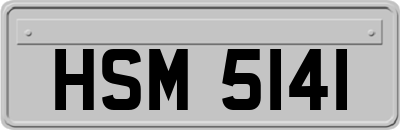 HSM5141