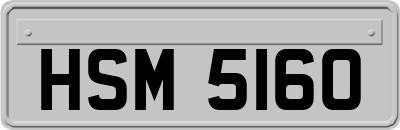 HSM5160