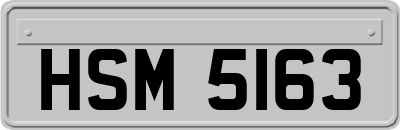 HSM5163