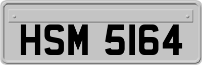 HSM5164
