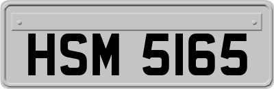 HSM5165
