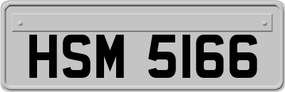 HSM5166
