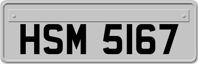 HSM5167