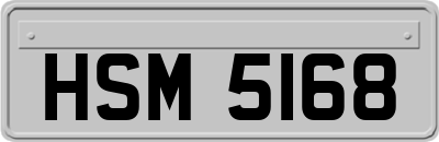 HSM5168