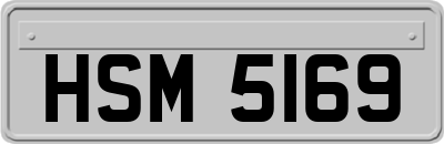 HSM5169