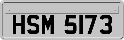 HSM5173