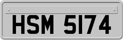 HSM5174